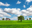 EcoRegion