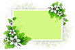 eps10 Flower background