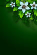 eps10 Flower background