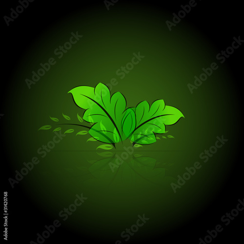 Vector: Green leaves eps10 Green leaves eps10
