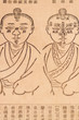Chinese medical books