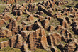 Bungle Bungles Range