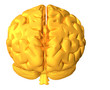 Golden brain