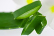 tranches d'aloe vera