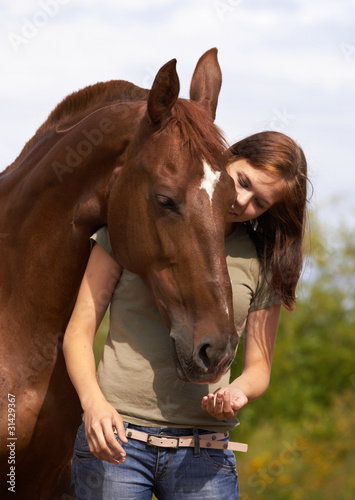Photo: horse horse
