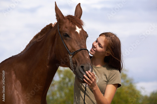 Photo: horse horse