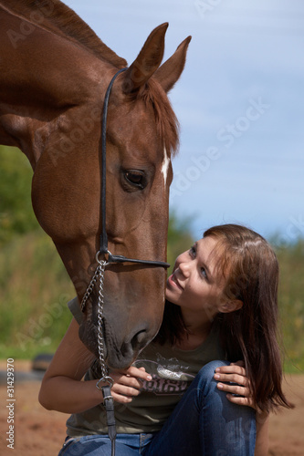 Photo: horse horse