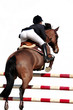 Reitsport, Pferdesport, Reiten, Springreiten, Hürdenspringen