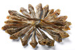 Dried fish
