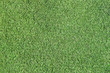 Football grass