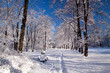 Snowy Warsaw park