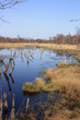 Foto: Moorlandschaft Moorlandschaft