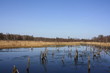 Foto: Wittmoor- Moorsee Wittmoor- Moorsee