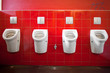 Toilette