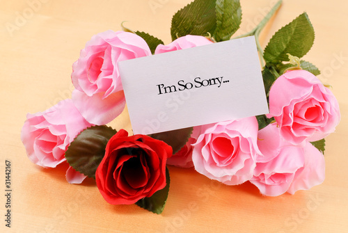 Photo: Sincere Apology Sincere Apology