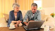 Elderly couple trying to buy something on internet