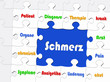 Schmerz - Konzept Patient und Therapie