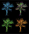 season of the year with trees