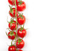 Foto: cherry tomatoes line cherry tomatoes line