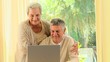 Mature couple smiling about something on a laptop