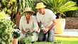 Video: Retired couple gardening Retired couple gardening