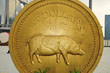 Photo: pig gold coin pig gold coin