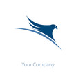 Logo eagle on the world # Vector