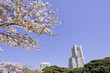 日本の春の風景