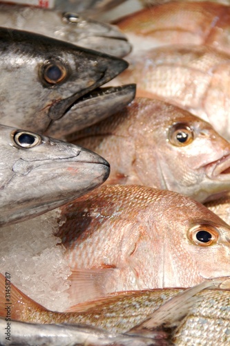 Photo: Wet Fish Wet Fish