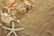shells and stones on sand shells and stones on sand