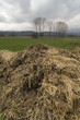manure - landscape