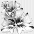 Flowers. Vector illustration. Flowers. Vector illustration.