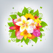 Flower Background Flower Background