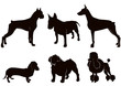 Set of dogs silhouette