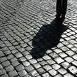 Ein Schatten!