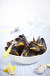 miesmuscheln