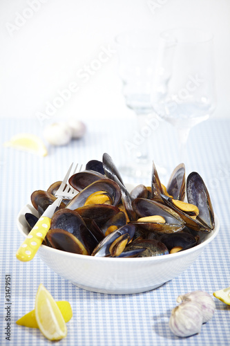 Foto: miesmuscheln miesmuscheln