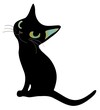 Black beauty cat