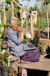 Foto: alte Frau mit Laptop alte Frau mit Laptop