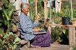 Foto: alte Frau mit Laptop alte Frau mit Laptop