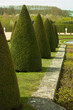 Garden of Versailles