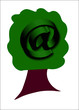 albero