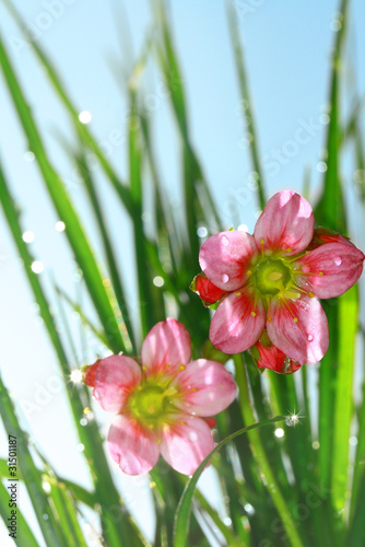 Foto: an einem Frühlingsmorgen... an einem Frühlingsmorgen...