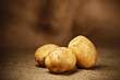 fresh potatoes on the sacking background