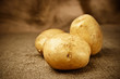 fresh potatoes on the sacking background