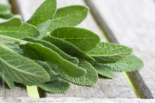 Foto: Sage leaves Sage leaves