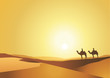 Paysage_Desert