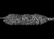 Intelligenzquotient