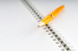 ����: Close up of ink pen on the paper � Elnur #31512911