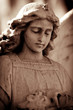 Weathered young angel in sepia tones Weathered young angel in sepia tones